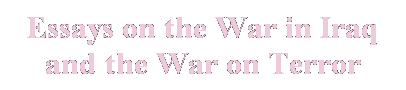 Text Box: Essays on the War in Iraq 
and the War on Terror
